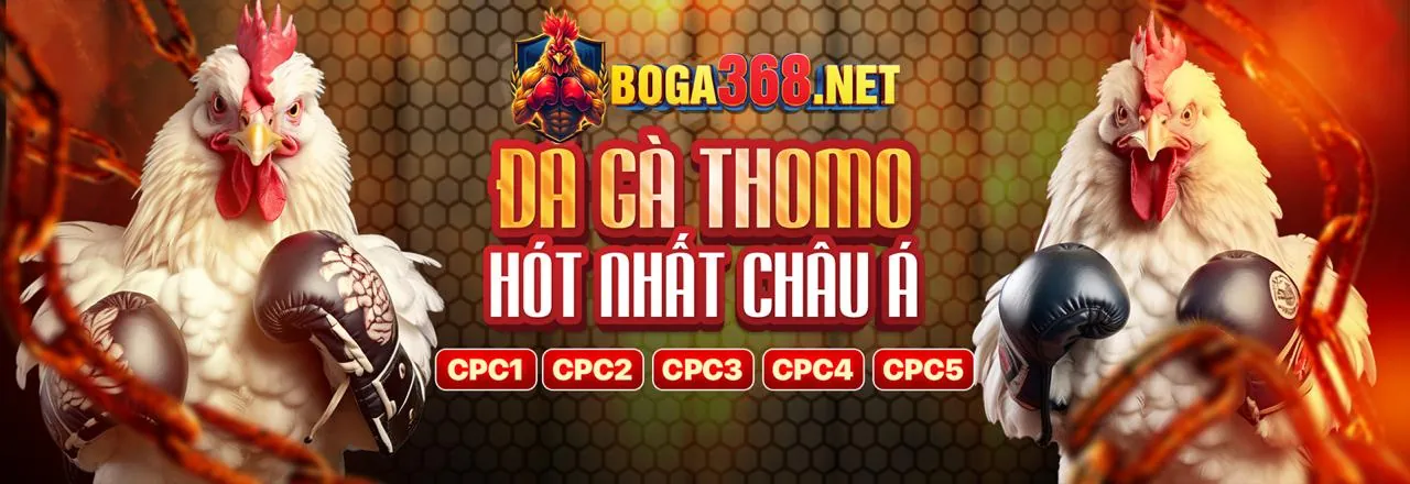Cộng Đồng King 79